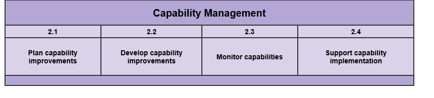 Capability Management