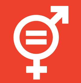 Gender Steering Group