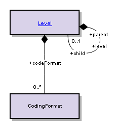 CodingFormat